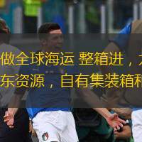 怡升昌供链有限公司主做全球海运 整箱进，尤其东南亚专线 是我司重点打造海运航线，船东资源，自有集装箱和舱位，价格有优势。